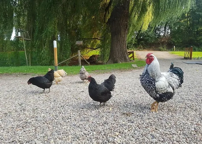 Vakantiehuisje aan de rand van Arnhem